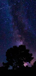 Starry night sky with silhouetted tree in foreground.