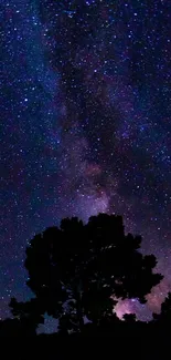 Starry night sky with a silhouette of trees beneath a galaxy view.