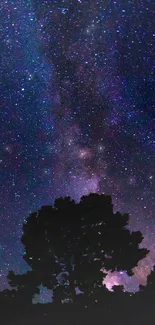 Silhouette of trees under a starry night sky with the Milky Way visible.