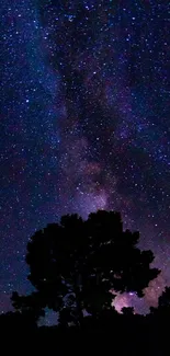 Silhouette of trees against a starry night sky and Milky Way galaxy.