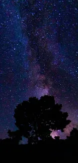 Silhouette of trees under a starry purple night sky.