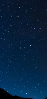 Starry night sky with bright stars on a mobile wallpaper.