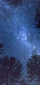 Starry night sky with tree silhouettes.