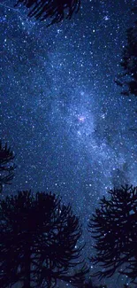 Starry night sky with silhouetted trees.