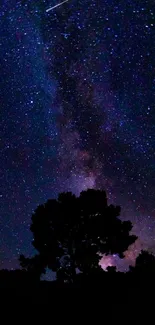 Silhouette of tree under starry night sky with galaxy view.