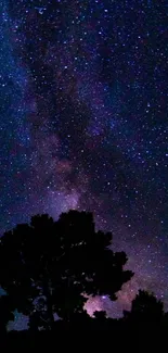 Silhouette of a tree under a vibrant, starry night sky.