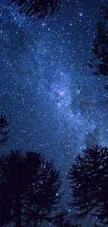 Starry night sky with silhouetted trees and bright stars.