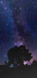 Starry night sky with Milky Way and trees silhouetted.