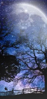 Enchanting night sky wallpaper with moonlit view and stars.