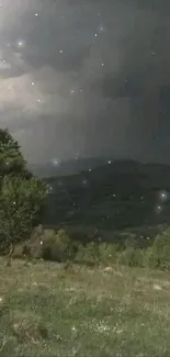 Starry night sky over a lush landscape wallpaper.