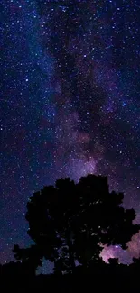 Milky Way and starry night sky with silhouetted trees.