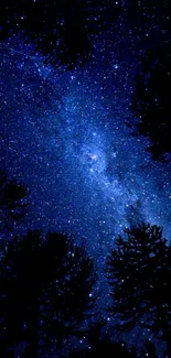 Silhouette of trees against a starry night sky with a galaxy view.