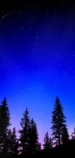 Silhouetted trees under starry blue night sky with shooting star.