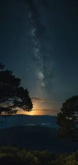 Starry night sky with silhouetted trees.