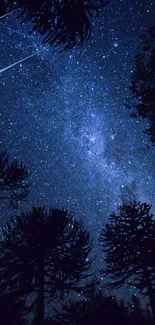 Starry night sky with silhouetted trees against the Milky Way galaxy.