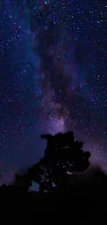 Silhouette tree against starry night sky wallpaper.