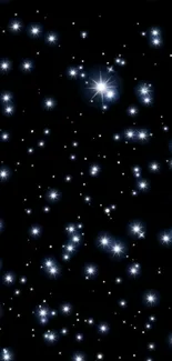 Night sky filled with twinkling stars.