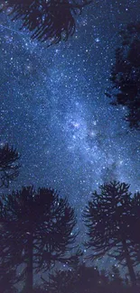 Starry night sky with silhouetted trees against a deep blue background.