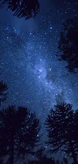 Starry night sky with silhouetted trees, perfect for a serene mobile wallpaper.