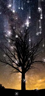 Silhouetted tree under a starry night sky wallpaper.