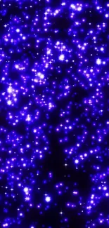 Twinkling blue and white stars on a dark background.