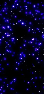 Starry night sky with glowing blue stars on a dark backdrop.