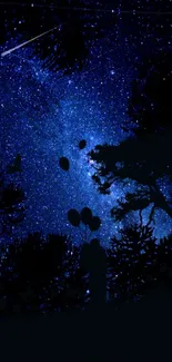 A starry night sky with silhouettes beneath a dark blue celestial view.