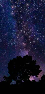 Stunning starry night sky wallpaper featuring a silhouetted tree.