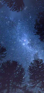 Starry night sky with tree silhouettes creating a cosmic view.