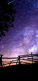 Star-filled night sky with silhouette of tree, swing, and fence.