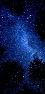 Starry night sky with silhouetted trees, beautiful cosmic view.