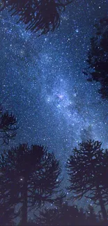 Starry night sky with silhouetted trees against a dark blue background.