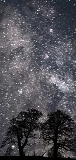 Silhouetted trees under a starry night sky.