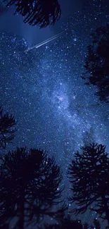 Starry night sky with silhouetted trees in foreground.