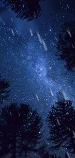 Starry night sky with shooting stars and silhouetted trees in a wallpaper.