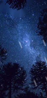 Starry sky with silhouetted trees at night.