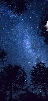 Starry night sky with silhouetted trees.