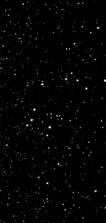 Starry night sky wallpaper with black background and bright white stars.