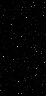 Starry black night sky wallpaper with shimmering stars.