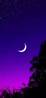 Crescent moon and starry night sky with a purple twilight background.