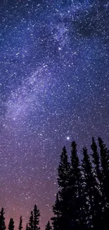 Starry night sky with silhouetted trees against a stunning celestial backdrop.