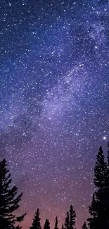 Silhouetted trees under a starry night sky.