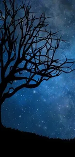 Silhouette of a tree against a starry night sky with dark blue hues.