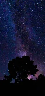 Silhouetted trees under a vibrant starry night sky with the Milky Way.