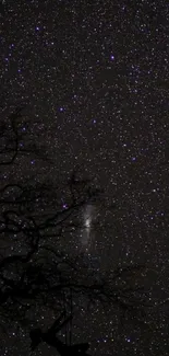 Silhouette on swing under a starry sky.