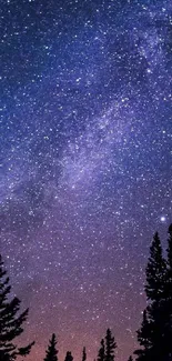 Starry sky with silhouetted trees against an indigo and purple night.