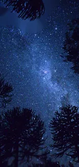 Starry night sky with silhouetted trees