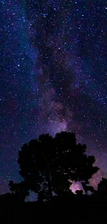 A captivating starry night sky with silhouetted trees below.