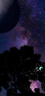 Animated black cat under a starry purple sky with a moon.