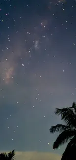 Starry night sky with palm trees silhouette on a mobile wallpaper.